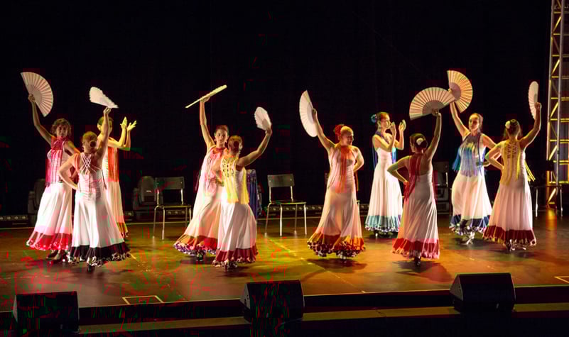 Flamenco La Rubia Schule fürFlamenco Tanzkunst. Flamenctanzunterricht Basel und Zofingen.