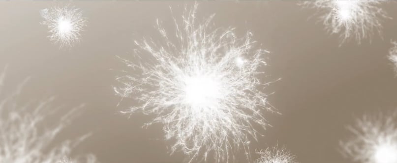 西川ダウン おひさまの羽毛 西川の羽毛はちがいます