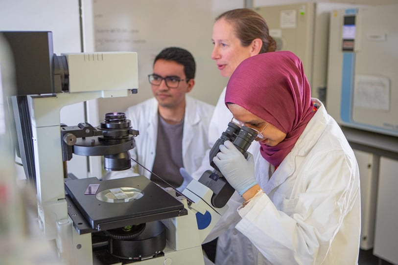 Au premier plan une étudiante en blouse blanche regarde dans un microscope une lamelle de Miel de Nouvelle-Zélande, un autre étudiant à l'arrière regarde les résultats sur un écran, les deux sont supervisés par leur chef le tout dans un laboratoire