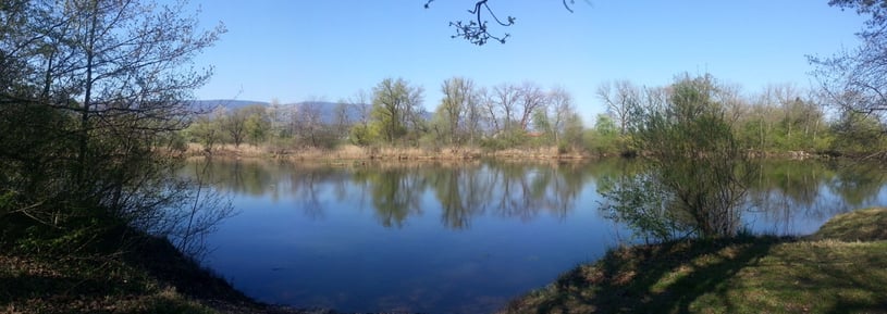 Alte Aare bei Büren an der Aare