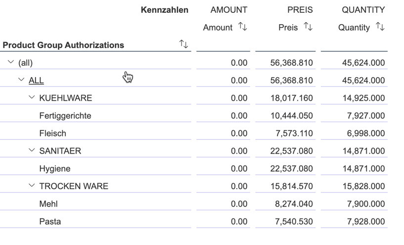 Data Preview of the Analytic Model in SAP Datasphere
