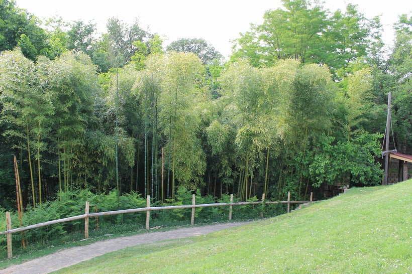 à Miripili l'Ile aux Pirates, pour une sortie avec des enfants