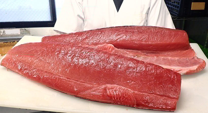 宅配寿司　出前　生まぐろ