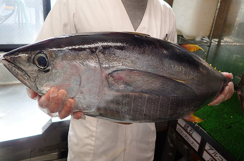 中央区　寿司　出前