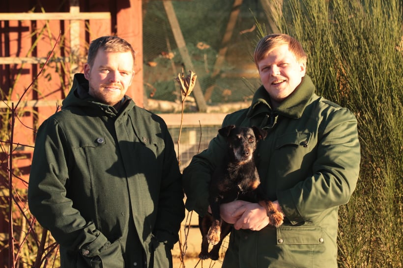 Ihr Ansprechpartner für Marderprobleme im Haus