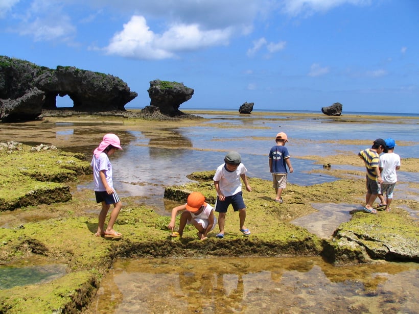 ビーチコーミングを楽しむ子どもたち