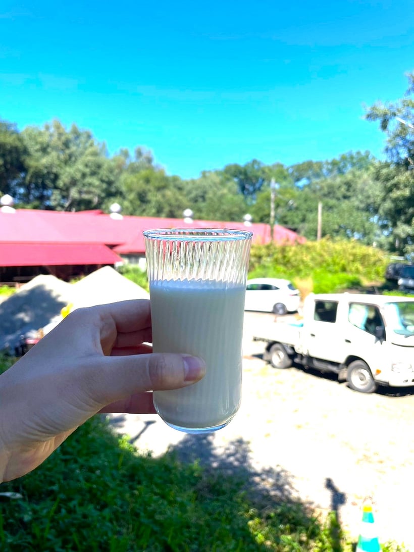 グラスフェッドの牛乳