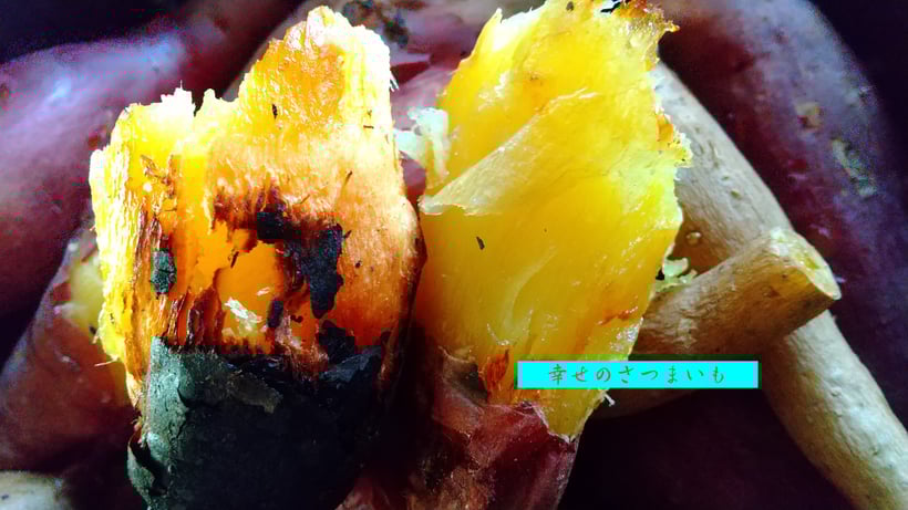 家庭で焼くだけで　とても甘い味の濃いプロ級の焼き芋ができます。