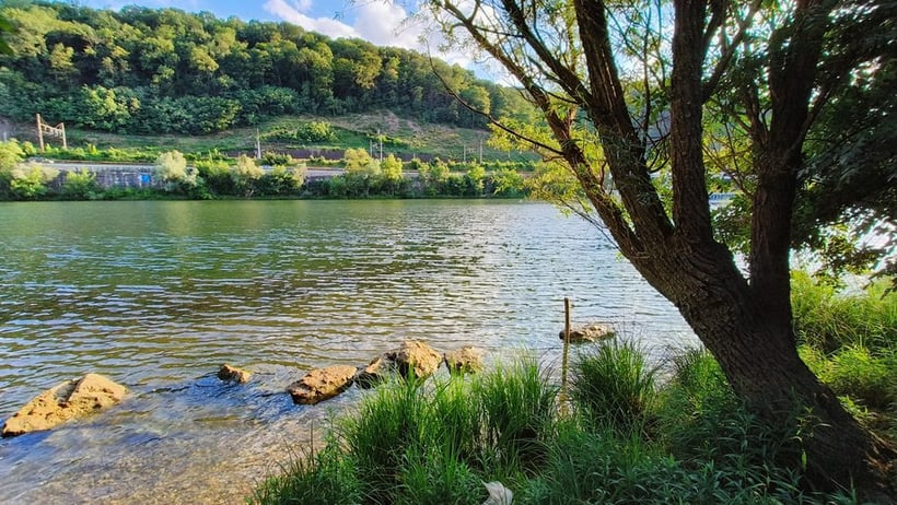 Photo prise avec Realme GT Neo 3 (4)