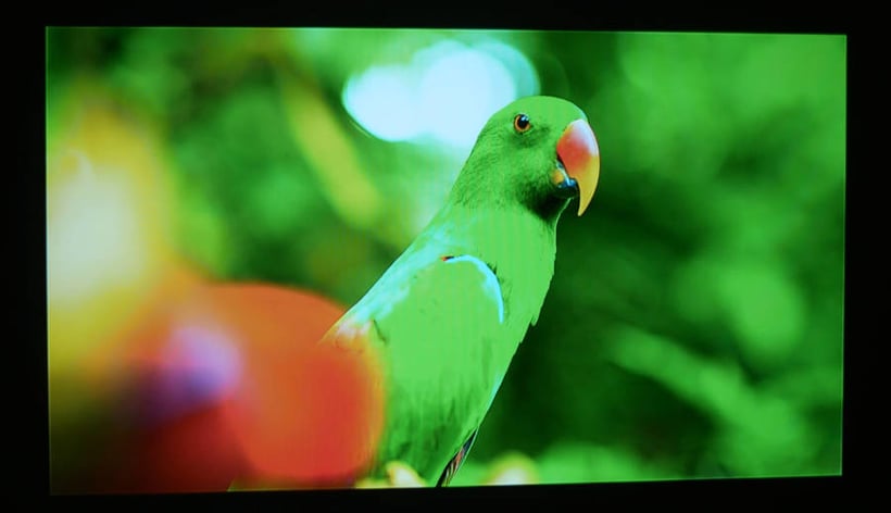 Test Yaber V10 (image)-900px