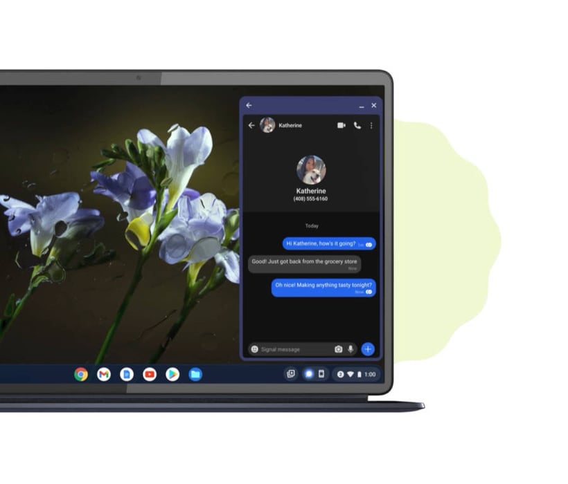 Android 13 (2)-900px.jpg