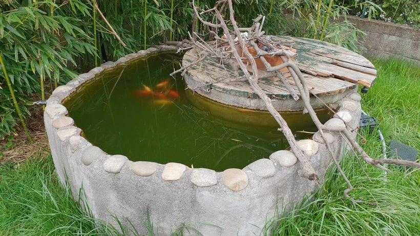 Photo d'un aquarium prise par le samsung galaxy S9
