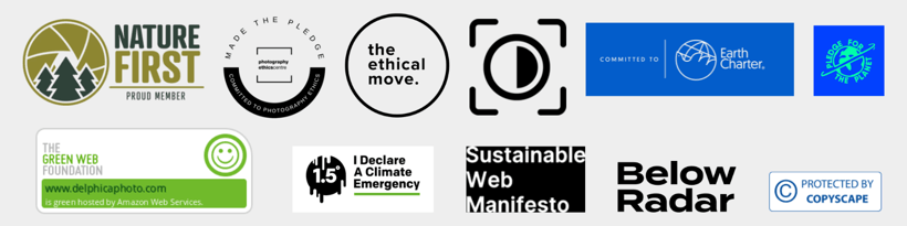 Immagine che raccoglie i badge a cui ho aderito - Image that collects the badges I have joined