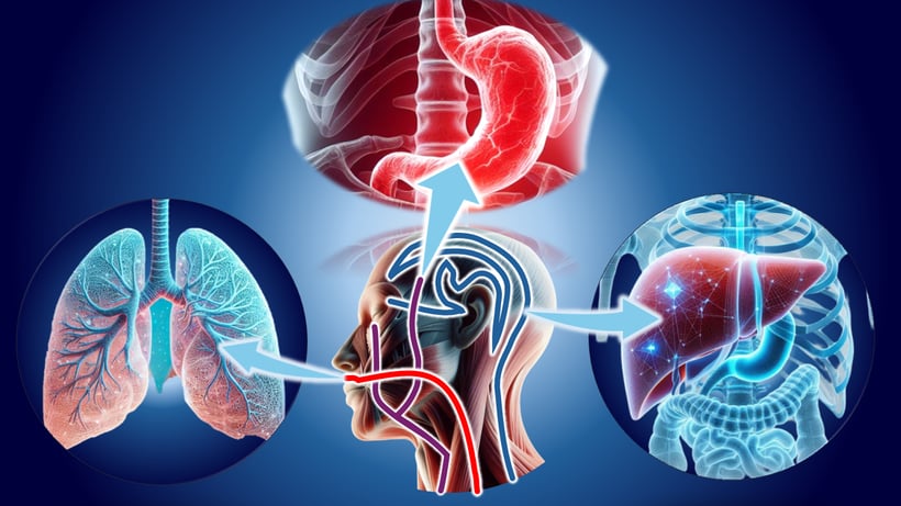歯とトラブルは気血水の乱れをうみ、五臓六腑の機能を低下させます。