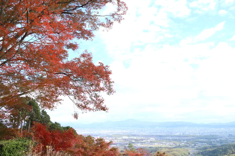 京都市下京区の心療内科、女医のいるメンタルクリニック、秋の風景、紅葉、見晴らしのよい丘