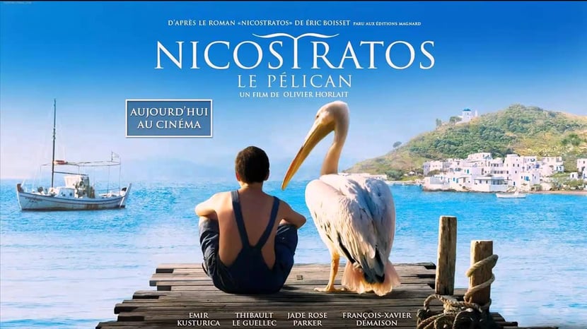 animaux célèbres nicostratos le pelican