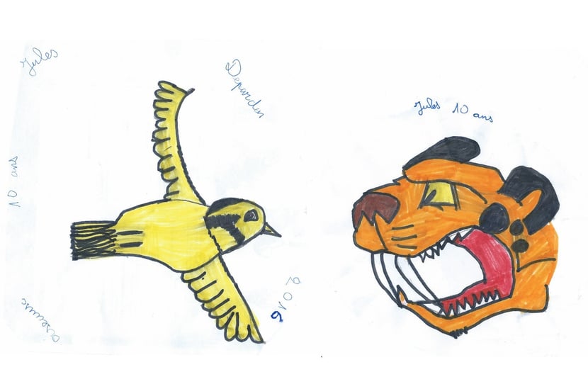 dessin oiseau tigre dent de sabre