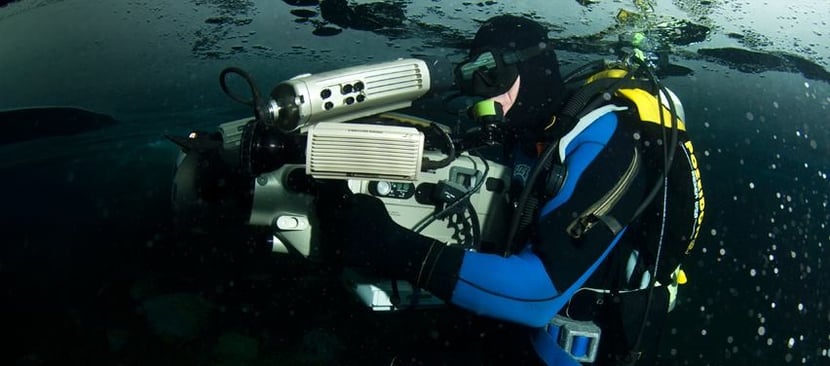 interview mario cyr plongeur cineaste animalier