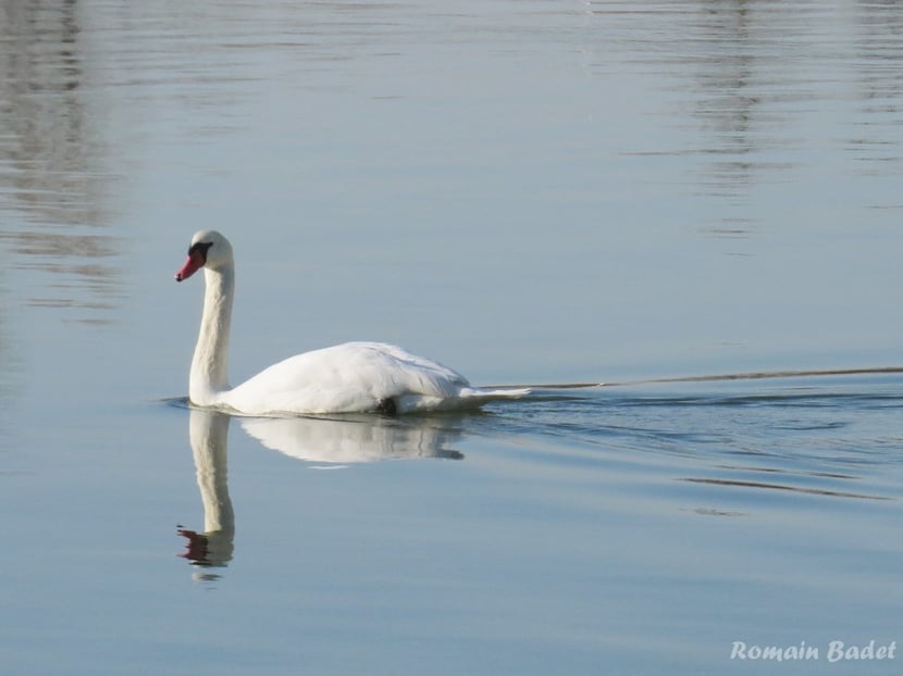 (Photo Romain Badet)