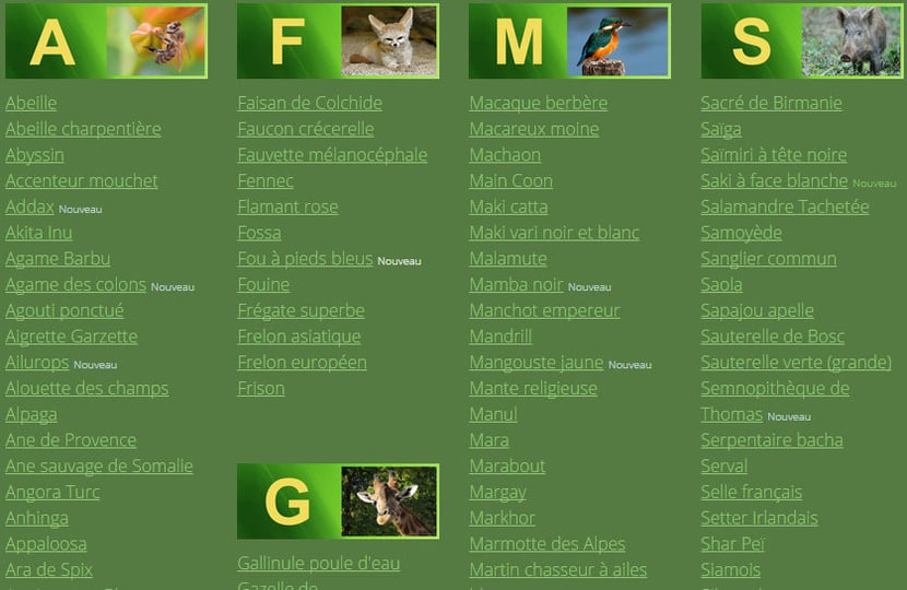 liste animaux ordre alphabetique
