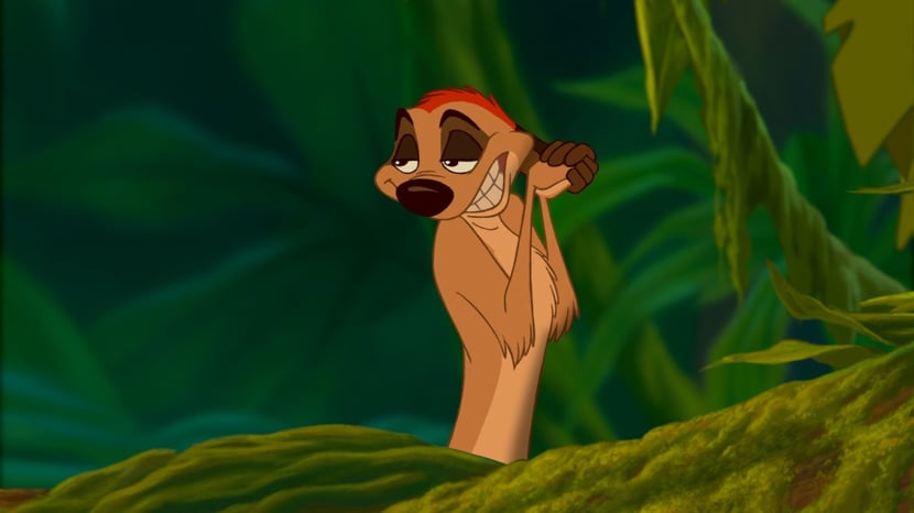 animaux disney timon suricate