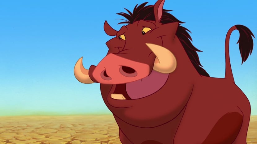 pumba disney animaux phacochere roi lion