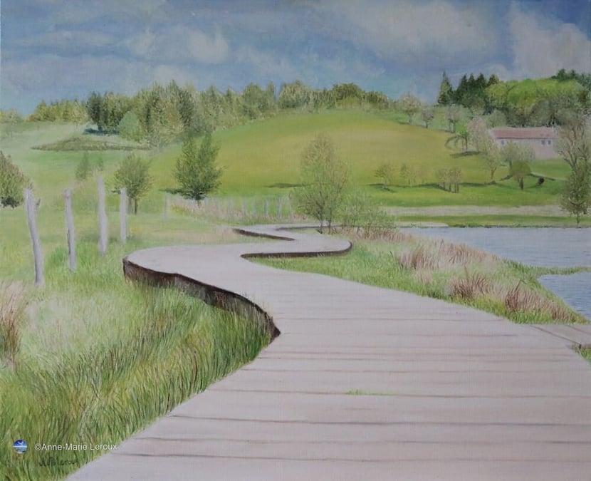 Rivière avec barrière au milieu de la verdure