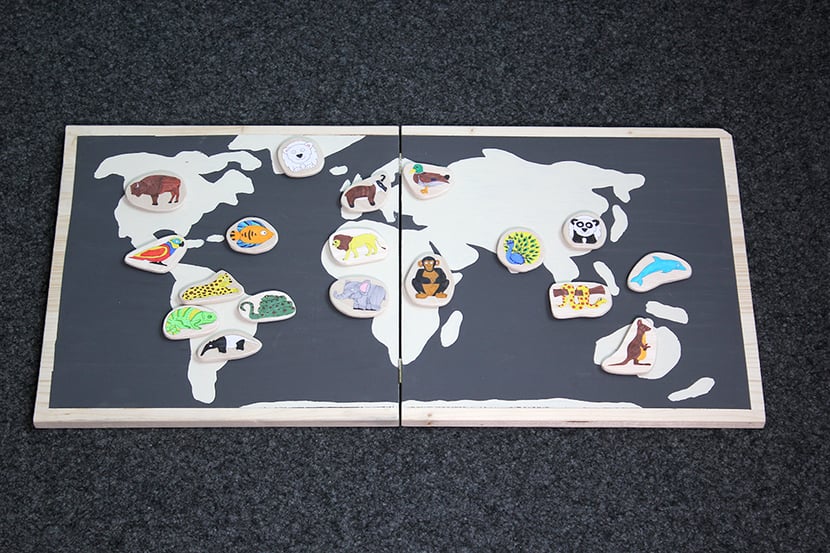 Magnetische Weltkarte