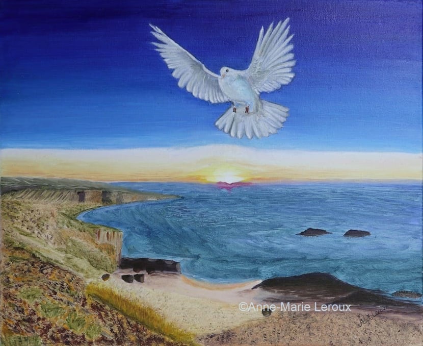 Rivage portugais au coucher de soleil avec une olombe.