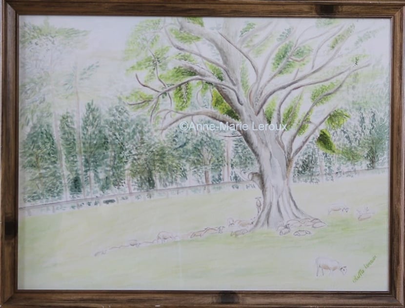 L'arbre fort, à l'ombre