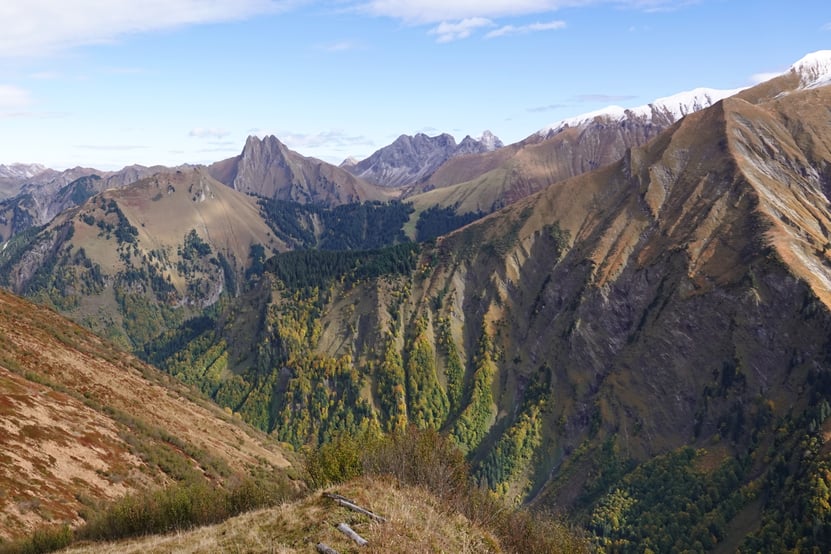 Herbstaspekt im Naturschutzgebiet Allgäuer Hochalpen, Felix Steinmeyer