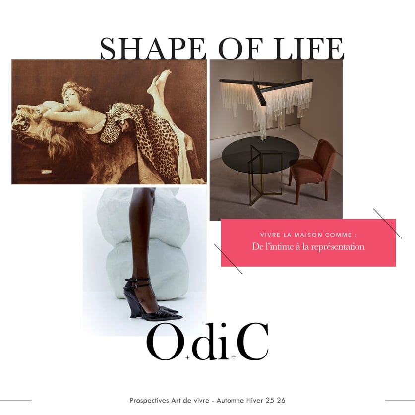 Tendance couleurs, Art de vivre, automne hiver 25-26, autumn winter 25-26, colour trends, lifestyle trends