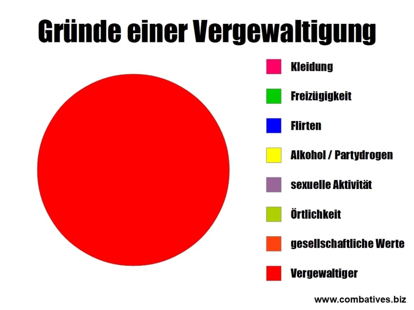 SC Int'l Street Combatives Selbstschutz Selbstverteidigung Gewalt gegen Frauen Krav Maga Gründe einer Vergewaltigung Täter Straftat