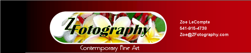 ZFotography.com, Contemporary Fine Art