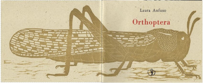 copertina distesa con stampa tipografica a due colori e incisione originale di Luciano Ragozzino