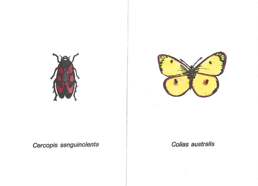 linoleografie originali acquerellate di Luciano Ragozzino