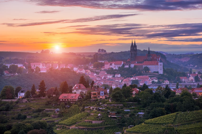 Blick von der Juchhöh mit Weinbergen und Stadt Meißen