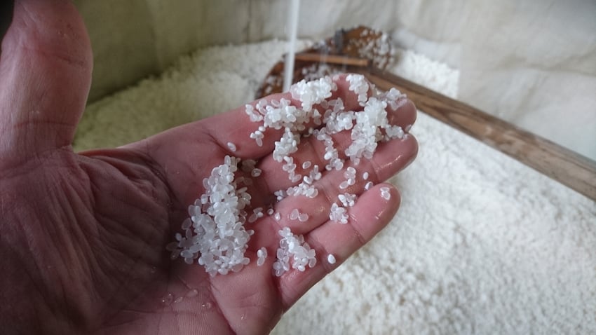 洗米中の高精白米。