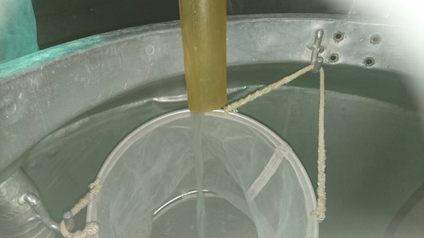 最初の白く濁った流出部分。「荒走り」