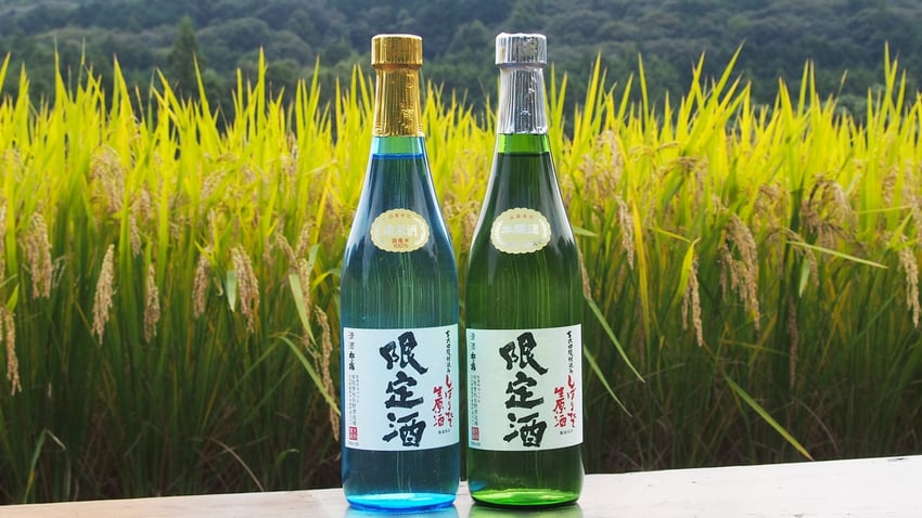 矢野酒造　2019年産しぼりたて生原酒のご案内