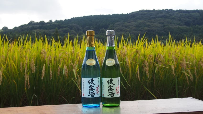 しぼりたて生原酒「限定酒」 ※無ろ過