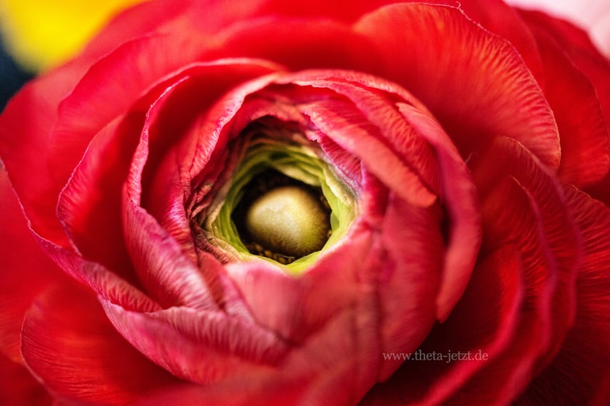 Potentialentfaltung und innerer Frieden