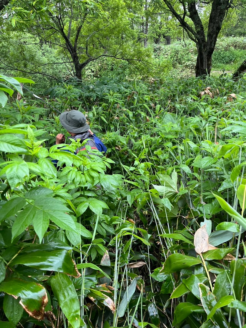 オーダーメイドロッド　ミウラデザイン　イトウ