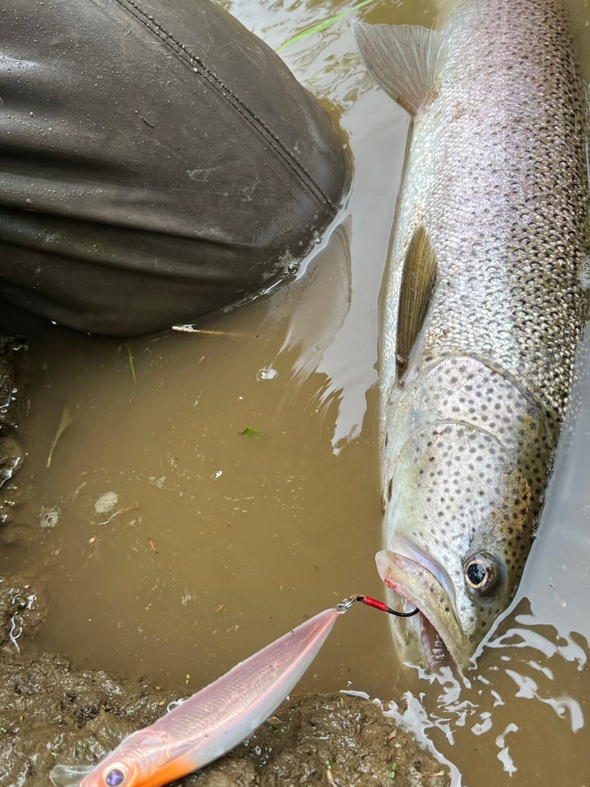 オーダーメイドロッド　ミウラデザイン　イトウ