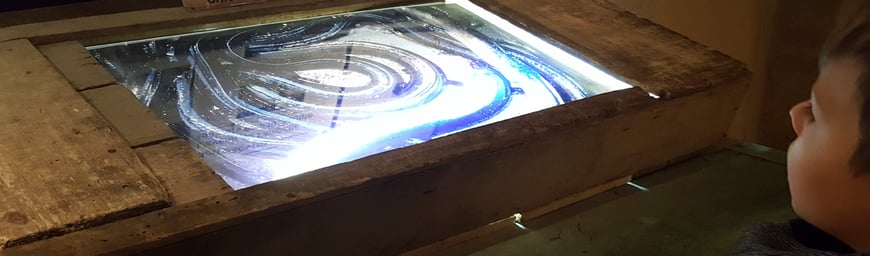 Découverte des anguilles en famille