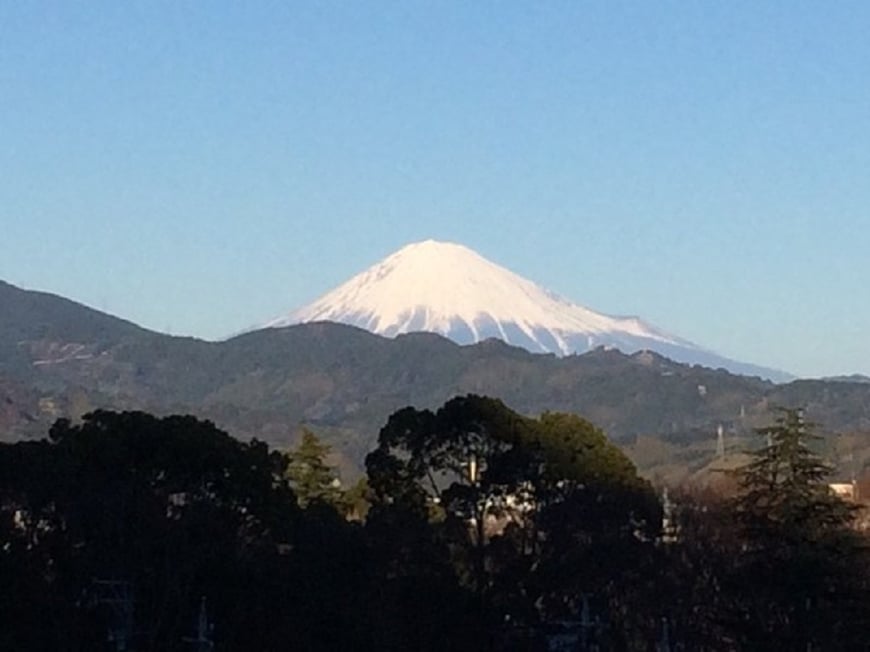2015年のお正月にスマホで撮った写真。今年のお正月は自宅にこもっていました。
