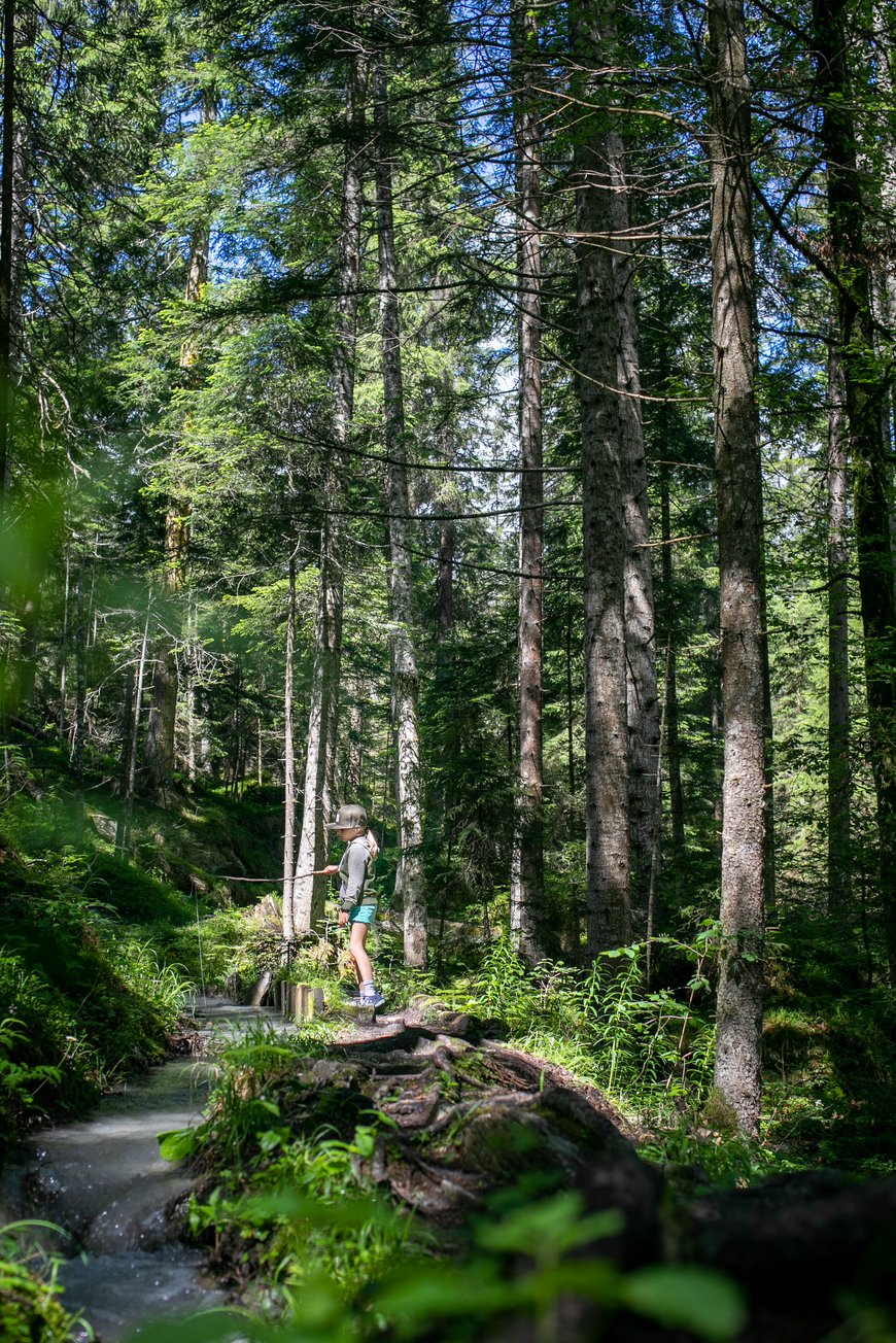 Connbächli, Flims, Laax, Wandern mit Kindern, Familienwanderung, einfache Wanderung, Bächli, Weg, Caumasee, Familien, einfache Wanderung, Schweiz, Wandertipps, kurze Wanderung, Conn, Crestasee, Travel, Blog, Schweiz