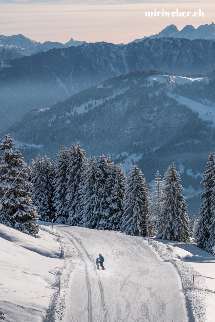 Laax Bergbahnen, Skitickets, Flims, Laax, Falera, Skigebiet, Winterferien, Familien Ferien, Seilbahn, Travel Blog Schweiz, Schweizer Travel Bloggerin, bestes Skigebiet in der Schweiz, Graubünden, Snowboarden, Schweiz, Winter