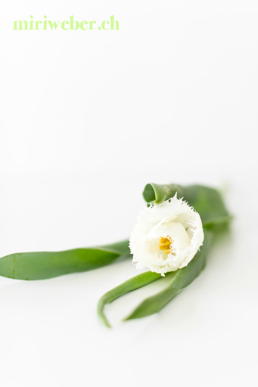 diy blumen kranz, frühling, frühlingskranz, selber machen, diy, blumen, springtime, oster, easter, wreath, floristik, kranz, diy, blog, kreativ, diy bloggerin schweiz, diy blog schweiz