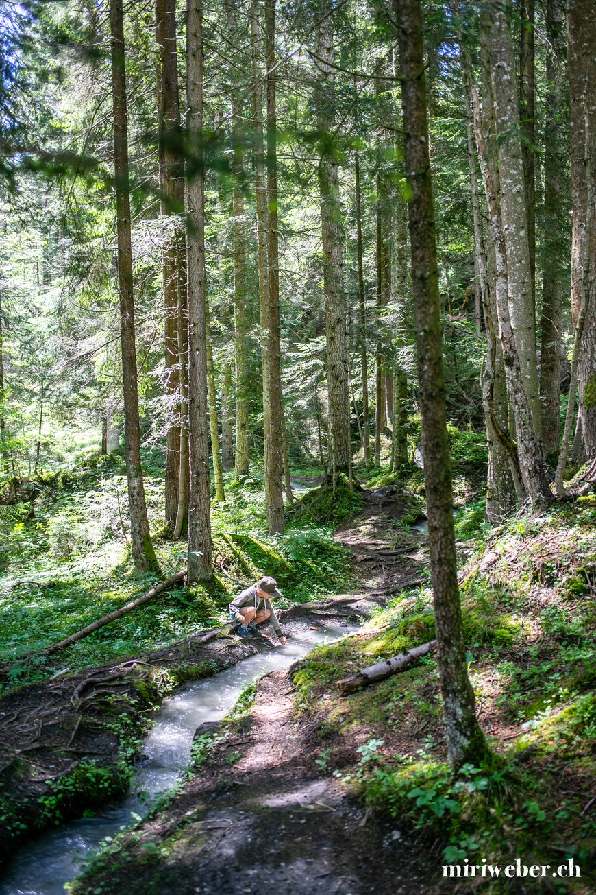 Connbächli, Flims, Laax, Wandern mit Kindern, Familienwanderung, einfache Wanderung, Bächli, Weg, Caumasee, Familien, einfache Wanderung, Schweiz, Wandertipps, kurze Wanderung, Conn, Crestasee, Travel, Blog, Schweiz, Connisbächli